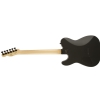 Fender Jim Root Telecaster Laurel Fingerboard, Flat Black