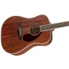 Fender Pm-1 Dreadnought All Mahogany With Case, Natural