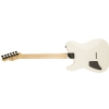 Fender Jim Root Telecaster Laurel Fingerboard, Flat White