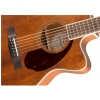 Fender PM-3 Triple-0, Ovangkol Finberboard, All-Mahogany