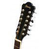 Ibanez SGT122NT akustick gitara