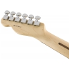 Fender American Pro Telecaster Deluxe Shaw Bucker Rosewood Fingerboard, Candy Apple Red