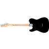 Fender American Pro Telecaster Maple Fingerboard, Black