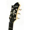 Hagstrom F301 3SB elektrick gitara