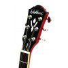 Washburn HB30-CH elektrick gitara