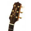 Takamine G340 akustick gitara
