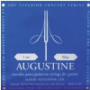 Augustine 650432