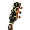 Baton Rouge FatMat V elektrick gitara