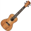 Kala Acacia Solid Concert ukulele koncertowe s puzdrom