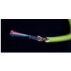 DJ TECHTOOLS Chroma Cable kabel USB-C (pomaraczowy)