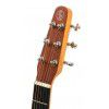 Baton Rouge L6  NT elektricko-akustick gitara