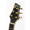 Vintage VRS110CBK elektrick� gitara