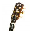 Gibson Songwriter Deluxe AN elektricko-akustick gitara