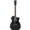Ibanez PC14MHCE-WK 6-string electric acoustic guitar