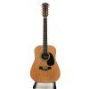 T.Burton Passage W N 12 strun akustick gitara