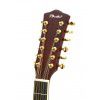 T.Burton Passage W N 12 strun akustick gitara