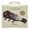 Ibanez IACSP61C Phosphor Bronze acoustic guitar strings 10-47