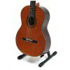 Baton Rouge DF55 klasick� gitara