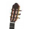 Baton Rouge DF55 klasick� gitara