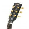 Gibson Les Paul Studio FI GH elektrick gitara