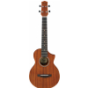 Ibanez UEWT5-OPN tenor ukulele
