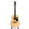 Ibanez V7012 NT akustick gitara