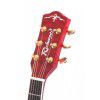 Richwood RG17CE QR elektricko-akustick gitara