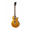 Gibson Slash Les Paul Standard Dg Goldtop Dark Back