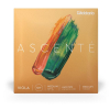 D′Addario Ascente A410MM Medium Scale viola strings, medium