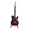 Fender Squier Telecaster Standard ATB/TORT elektrick gitara