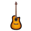 Flycat C100 TSB acoustic guitar 