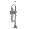 Bach TR-450S Bb trúbka, lakovaná (s puzdrom)