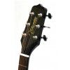 Takamine EG531SC elektricko-akustick gitara