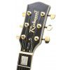 Richwood RE129 BU elektrick gitara