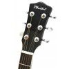 T.Burton Greengo W BK akustick gitara
