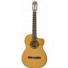 Takamine EG124C