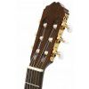 Takamine EG124C