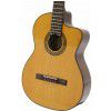 Takamine EG124C