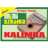 AN Templin Grzegorz Miniszkka - Kalimba