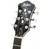 Hoefner HCT CG Sunburst elektrick gitara