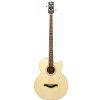 Hoefner HA-B03 basov gitara