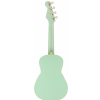 Fender Avalon Tenor Surf Green
