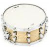 DDrum Dominion Maple 14x6.5″ pochodujci bubienok