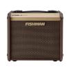 Fishman Loudbox Micro Pro