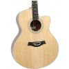 T.Burton Passage J C N akustick gitara