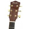 T.Burton Passage J C N akustick gitara