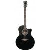 T.Burton Greengo J C BK akustick gitara