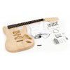 Harley Benton Strat Kit