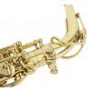 Roy Benson AS-302 altov saxofn