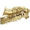 Roy Benson AS-302 altov saxofn